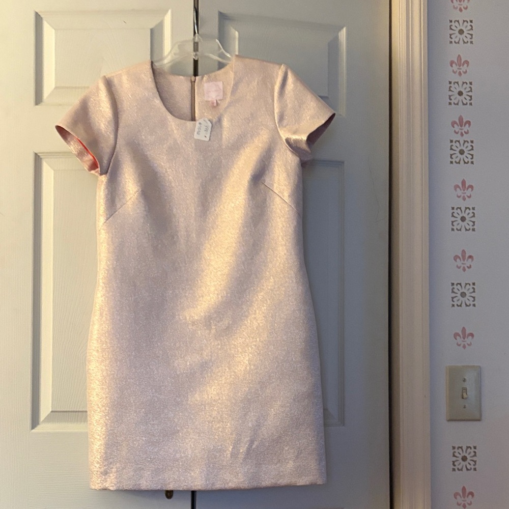 Elegant Pink Shimmer Dress by Jane Summers